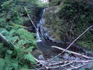 photo thumbnail #10