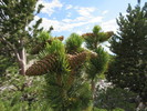 Featured Detail Photo
