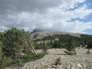 Featured Full Photo