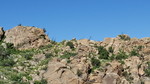 photo thumbnail #10