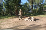 photo thumbnail #2