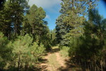photo thumbnail #3