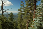 photo thumbnail #7