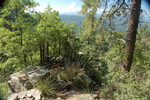 photo thumbnail #8