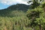 photo thumbnail #10
