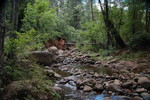 photo thumbnail #13