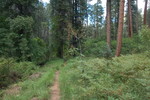 photo thumbnail #15
