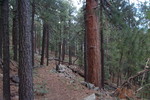 photo thumbnail #1