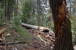 photo thumbnail #8