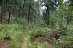 photo thumbnail #9