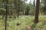 photo thumbnail #12