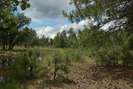 photo thumbnail #15