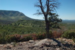 photo thumbnail #11