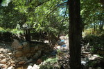 photo thumbnail #12
