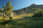 photo thumbnail #2