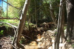 photo thumbnail #7