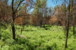 photo thumbnail #11