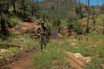 photo thumbnail #14
