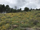 photo thumbnail #6