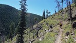 photo thumbnail #3