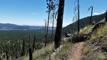 photo thumbnail #7