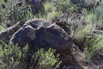 photo thumbnail #7