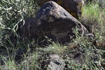 photo thumbnail #14