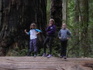 photo thumbnail #8