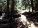 photo thumbnail #1