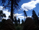photo thumbnail #8