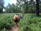 photo thumbnail #9