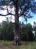 photo thumbnail #12