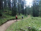 photo thumbnail #15