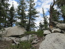 photo thumbnail #6