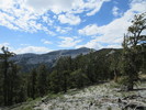 photo thumbnail #7