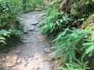photo thumbnail #5
