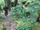 photo thumbnail #8