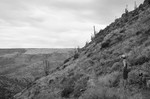 photo thumbnail #9