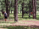 photo thumbnail #4