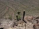 photo thumbnail #2