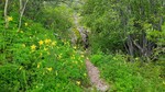 photo thumbnail #1
