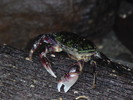 photo thumbnail #13