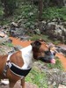 photo thumbnail #1