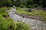 photo thumbnail #10