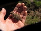 photo thumbnail #2