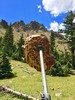 photo thumbnail #6