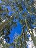 photo thumbnail #14