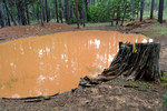 photo thumbnail #9