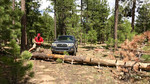 photo thumbnail #1