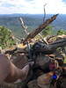 photo thumbnail #5